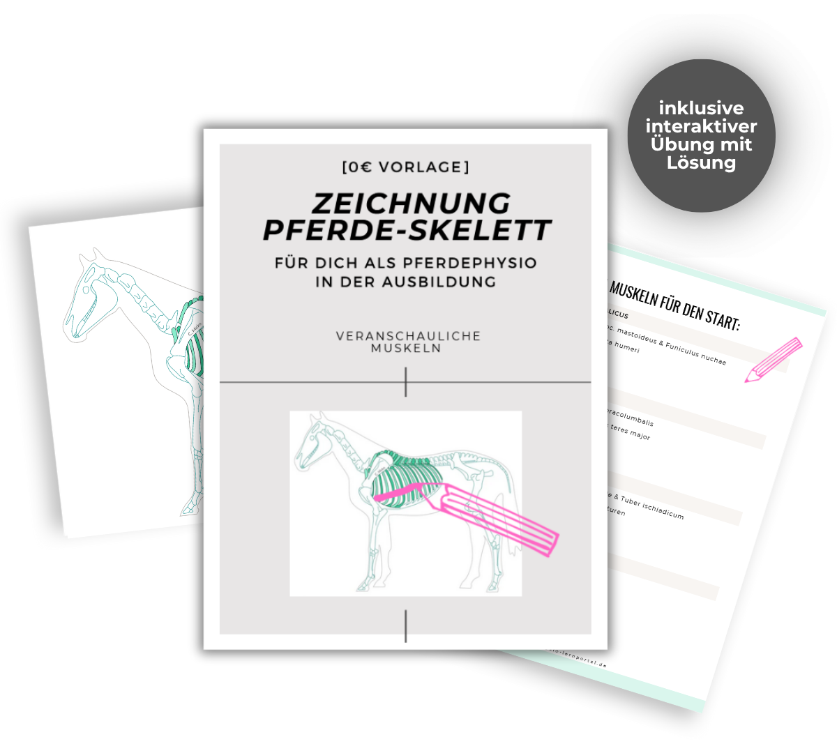 SkelettZeichnung Hund