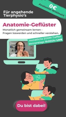 Webinar_26012025