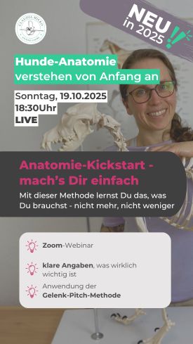 Anatomie-Kickstart Anatomie-Kickstart