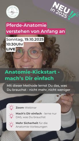 Anatomie-Kickstart-Pferd Anatomie-Kickstart-Pferd