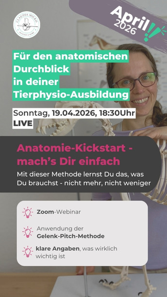 Anatomie-Kickstart