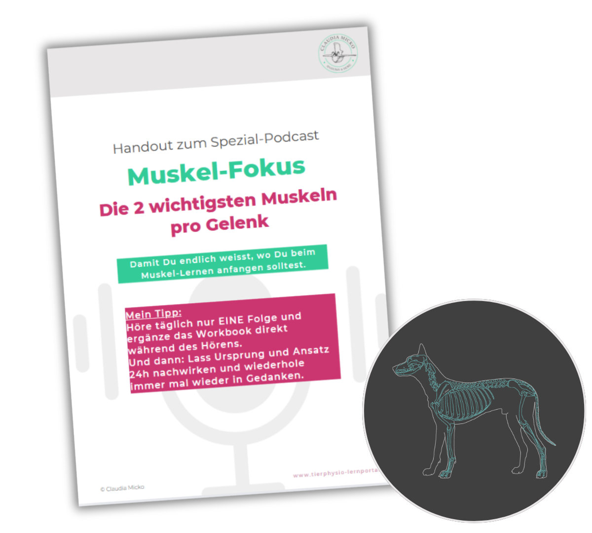 Handout_Podcast-Muskel-Fokus_Hund Handout podcast muskel fokus hund