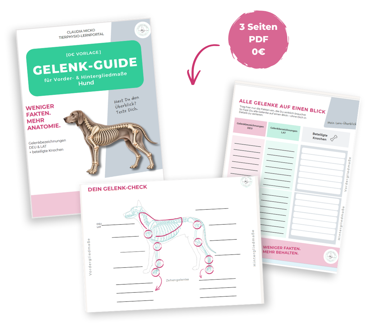 MockUp Gelenk Guide