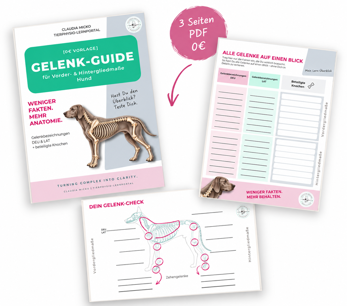 Gelenk-Guide