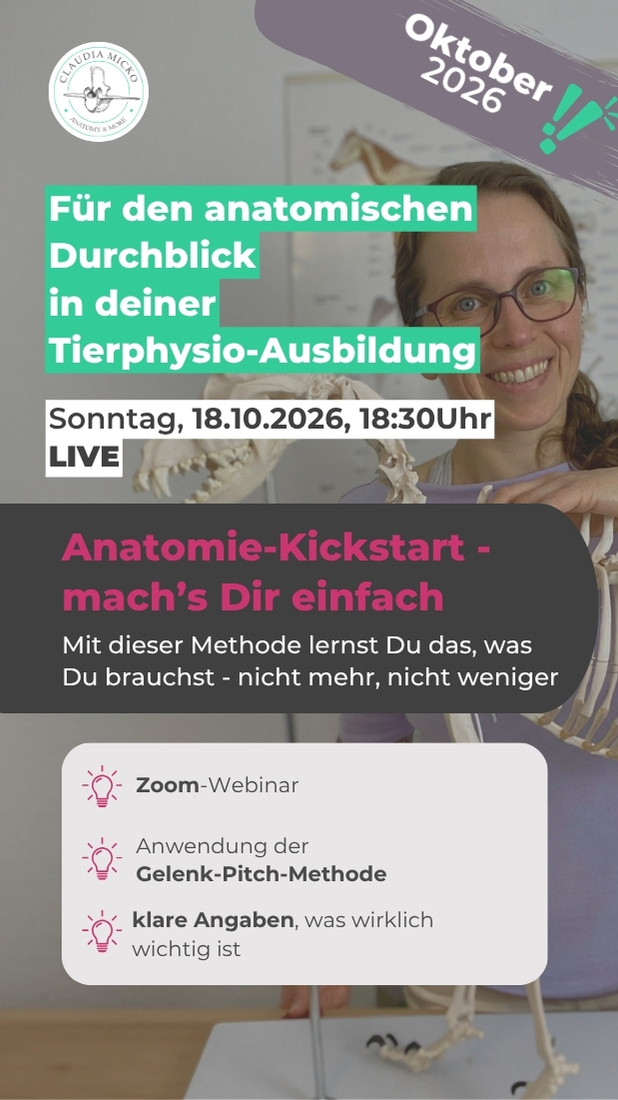 AnatomieKickstart
